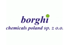 borghi Logotyp
